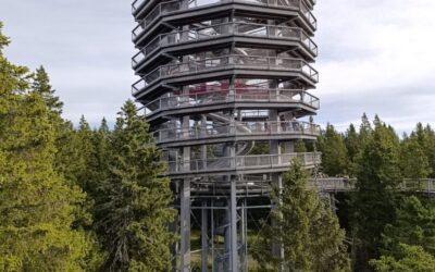 Dan učitelja obilježen stručnim usavršavanjem